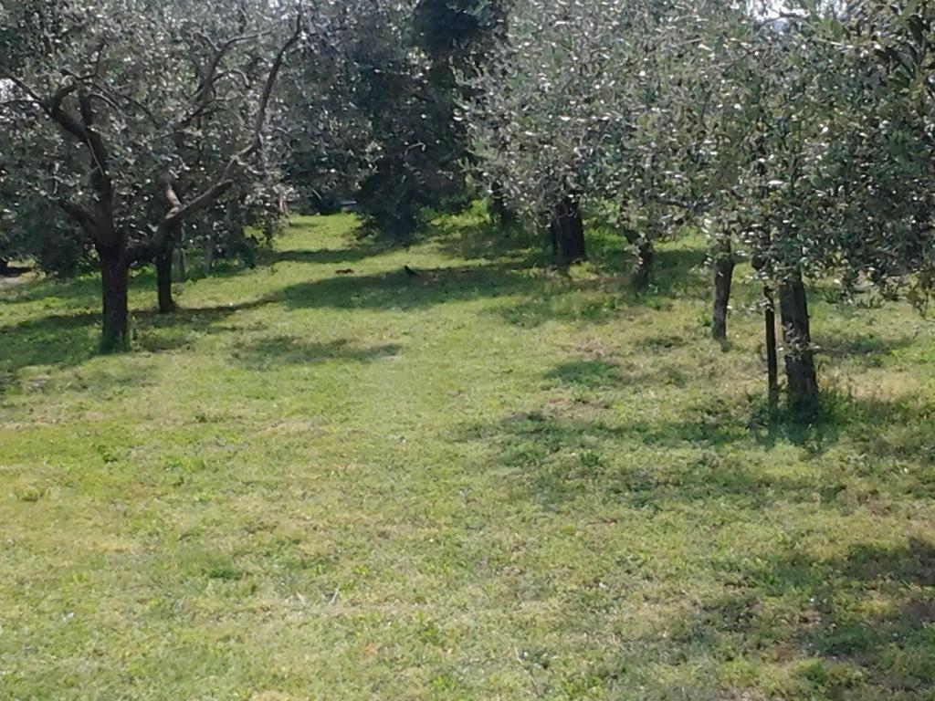 Agriturismo Corte Galvani Negrar Luaran gambar